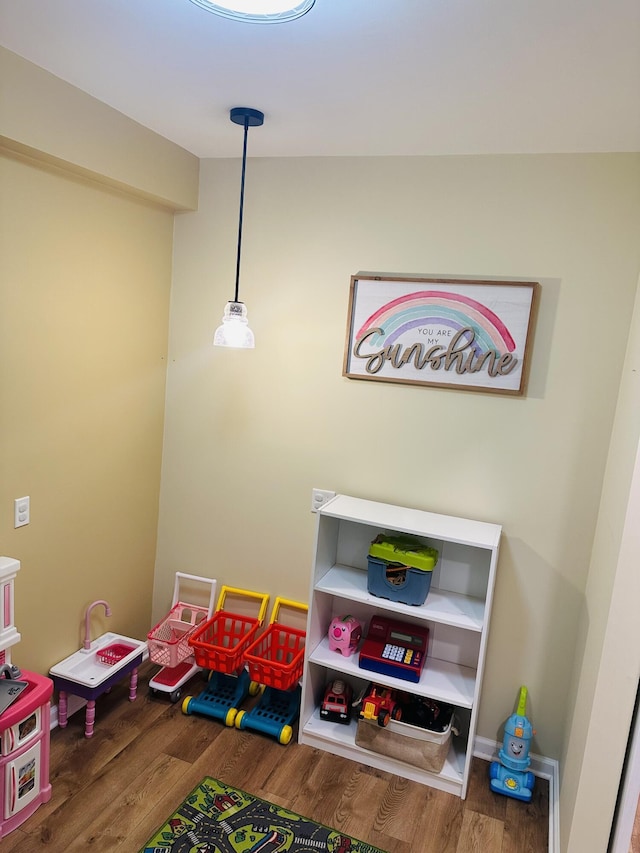 133 Bingham Dr, Brooklyn, MI 49230 - playroom with wood finished floors