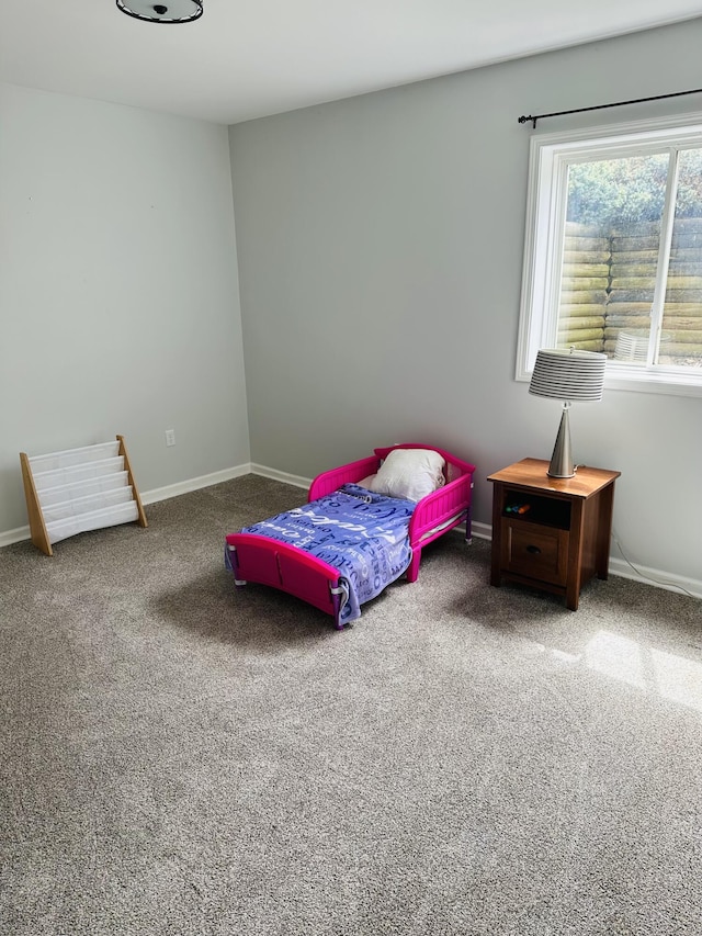 133 Bingham Dr, Brooklyn, MI 49230 - carpeted bedroom featuring baseboards