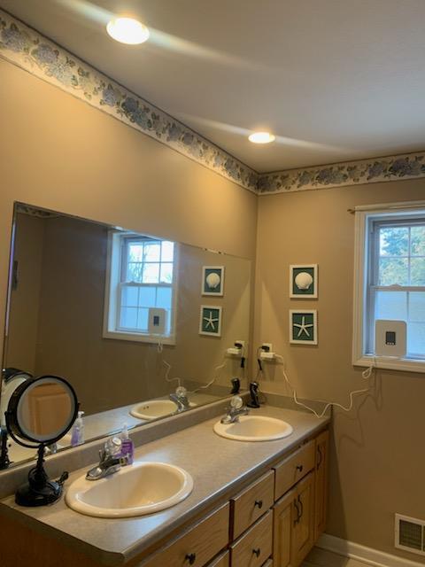 133 Bingham Dr, Brooklyn, MI 49230 - full bathroom featuring plenty of natural light, double vanity, and baseboards