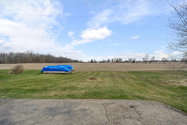 14204 Northmoor Dr, Cement City, MI 49233 - view of yard featuring a rural view
