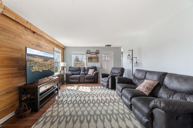 14204 Northmoor Dr, Cement City, MI 49233 - living area with wood walls and dark wood-style floors