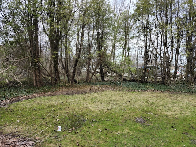 309 N Main St, Scottville, MI 49454 - view of yard