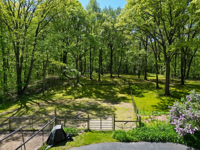 7630 Dilley Rd, Davisburg, MI 48350 - view of yard featuring fence