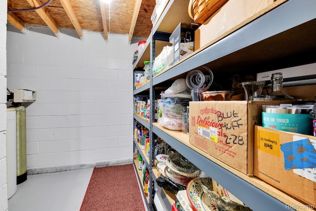 5280 Brantford, Grand Blanc, MI 48439 - view of storage area