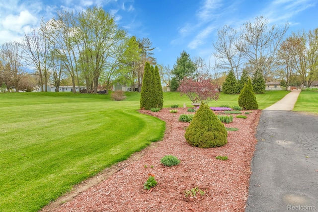 5280 Brantford, Grand Blanc, MI 48439 - view of home's community featuring a lawn