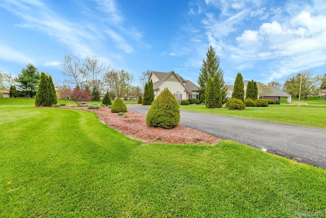 5280 Brantford, Grand Blanc, MI 48439 - view of property hidden behind natural elements featuring a front yard and asphalt driveway