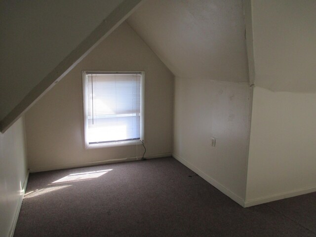 bonus room featuring carpet flooring and vaulted ceiling