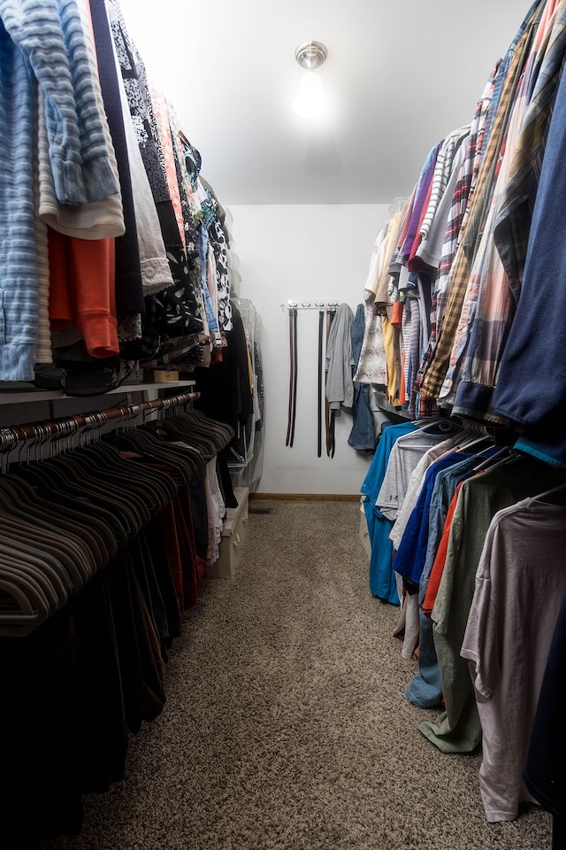 walk in closet with carpet