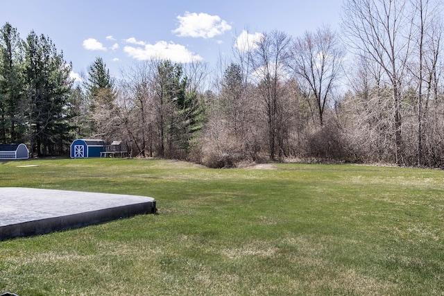 view of yard featuring a storage unit and an outbuilding