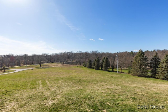 view of yard featuring a wooded view