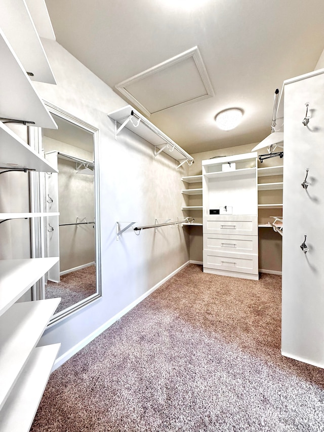 9025 Huron Bluffs Dr, White Lake, MI 48386 - spacious closet featuring light carpet and attic access
