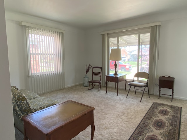 living area with carpet and baseboards