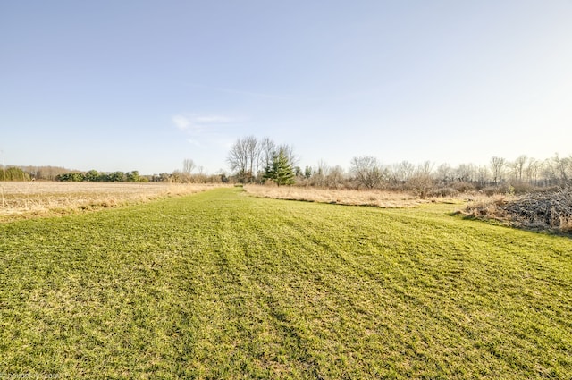 view of yard with a rural view