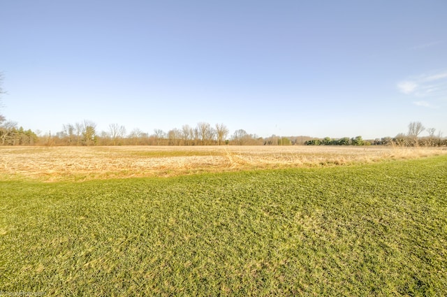 view of local wilderness with a rural view