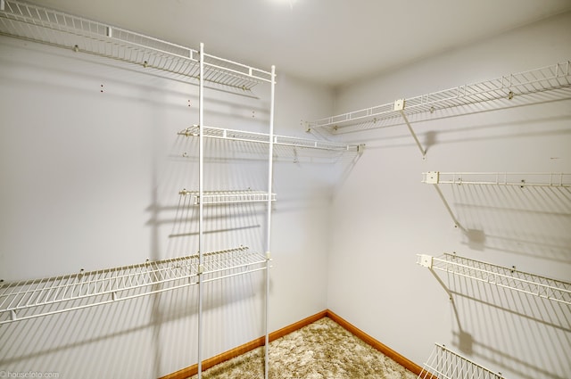 view of spacious closet