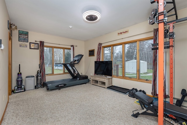 exercise area with carpet flooring