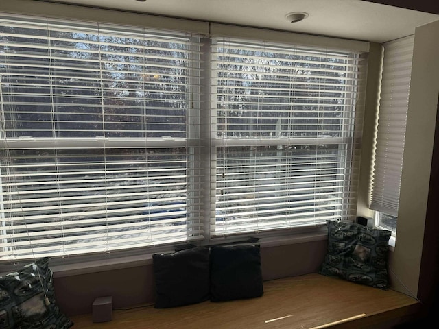 18175 Lake Dr, Big Rapids, MI 49307 - view of room details