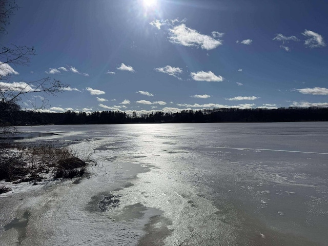 18175 Lake Dr, Big Rapids, MI 49307 - property view of water