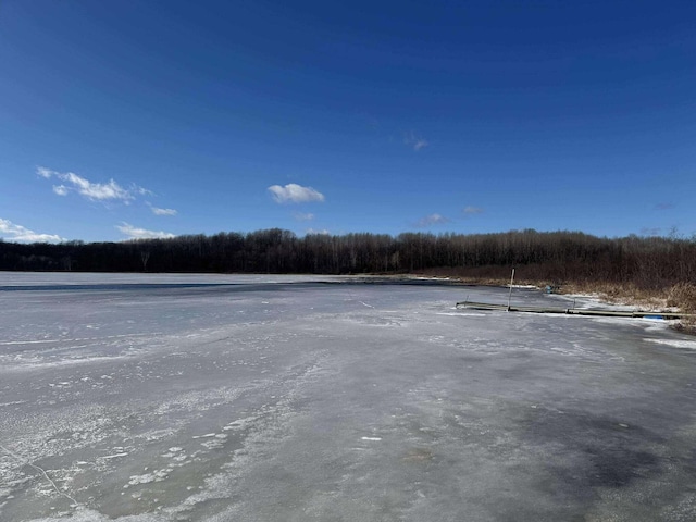 18175 Lake Dr, Big Rapids, MI 49307 - exterior space with a view of trees