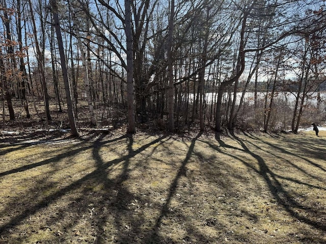18175 Lake Dr, Big Rapids, MI 49307 - view of yard
