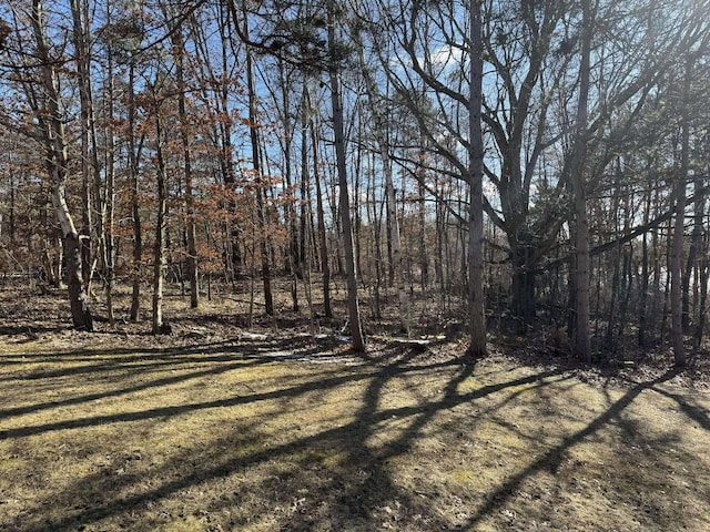 18175 Lake Dr, Big Rapids, MI 49307 - view of yard