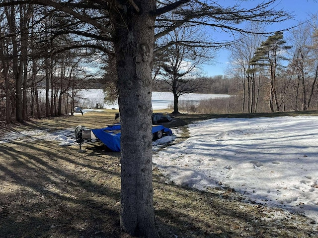 18175 Lake Dr, Big Rapids, MI 49307 - view of road