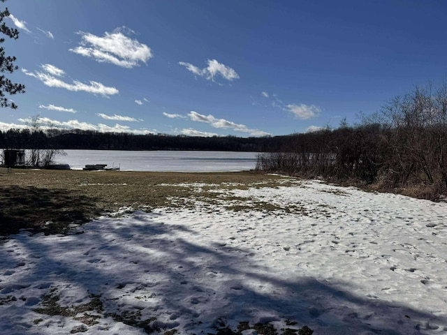 18175 Lake Dr, Big Rapids, MI 49307 - view of yard featuring a wooded view and a water view