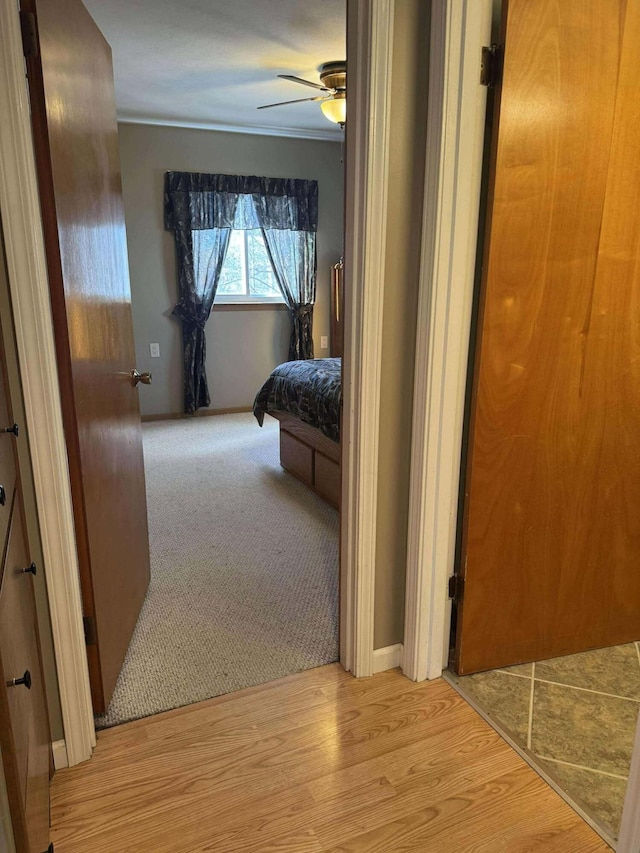 18175 Lake Dr, Big Rapids, MI 49307 - corridor with light wood-style floors