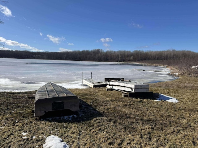 18175 Lake Dr, Big Rapids, MI 49307 - exterior space featuring a water view and a view of trees