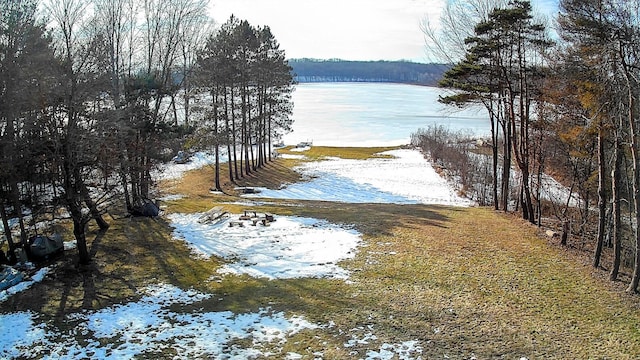 18175 Lake Dr, Big Rapids, MI 49307 - water view