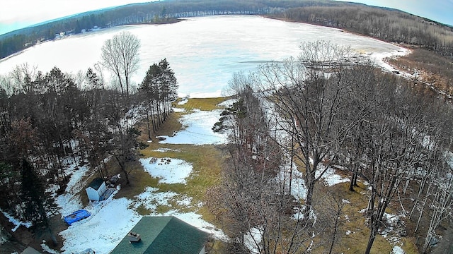 18175 Lake Dr, Big Rapids, MI 49307 - snowy aerial view featuring a forest view