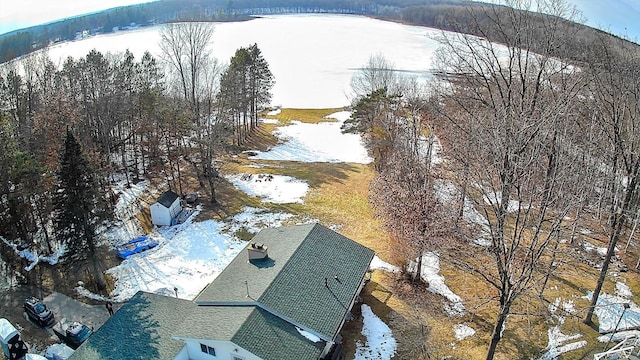 18175 Lake Dr, Big Rapids, MI 49307 - view of snowy aerial view
