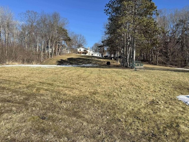 18175 Lake Dr, Big Rapids, MI 49307 - view of yard