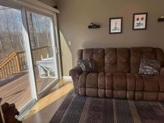 18175 Lake Dr, Big Rapids, MI 49307 - living room with wood finished floors