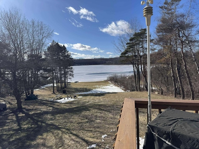 18175 Lake Dr, Big Rapids, MI 49307 - view of yard featuring a water view