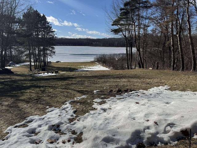 18175 Lake Dr, Big Rapids, MI 49307 - water view