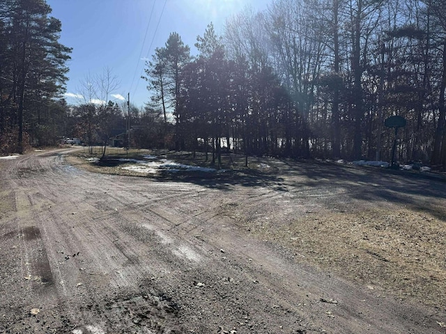 18175 Lake Dr, Big Rapids, MI 49307 - view of road