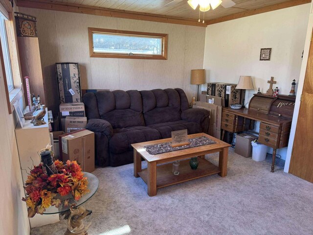 18175 Lake Dr, Big Rapids, MI 49307