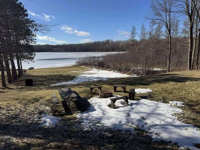 18175 Lake Dr, Big Rapids, MI 49307 - view of property's community featuring a forest view and a water view
