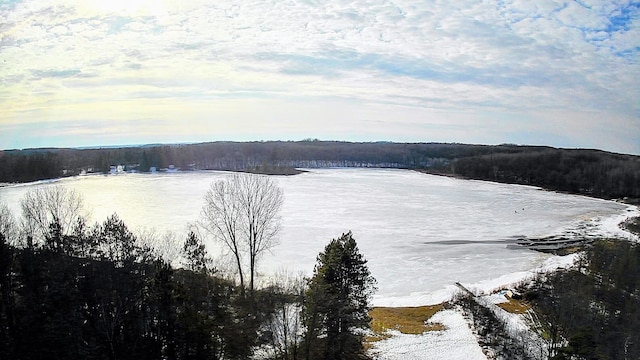 18175 Lake Dr, Big Rapids, MI 49307 - view of water feature