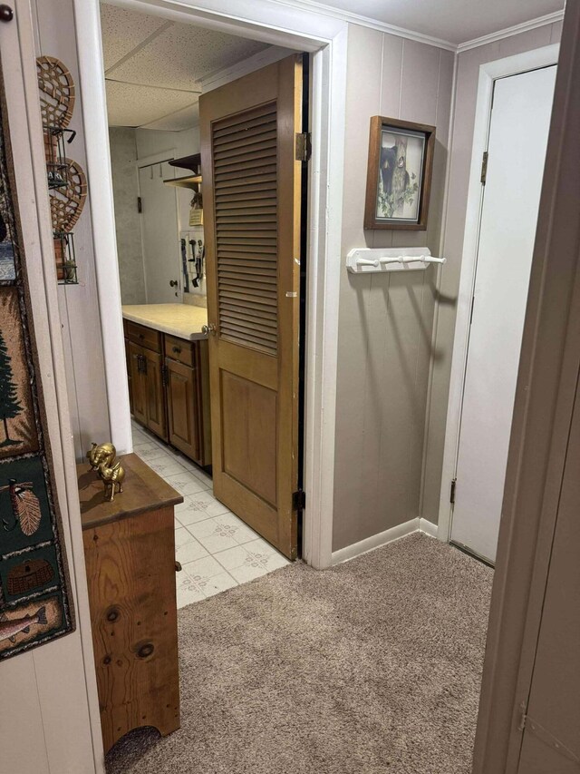 18175 Lake Dr, Big Rapids, MI 49307