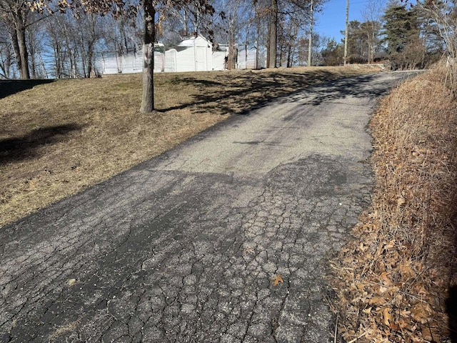 18175 Lake Dr, Big Rapids, MI 49307 - view of street