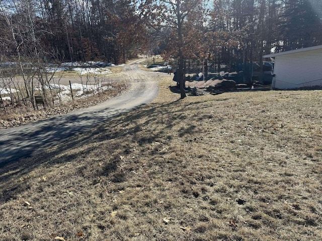 18175 Lake Dr, Big Rapids, MI 49307 - view of road