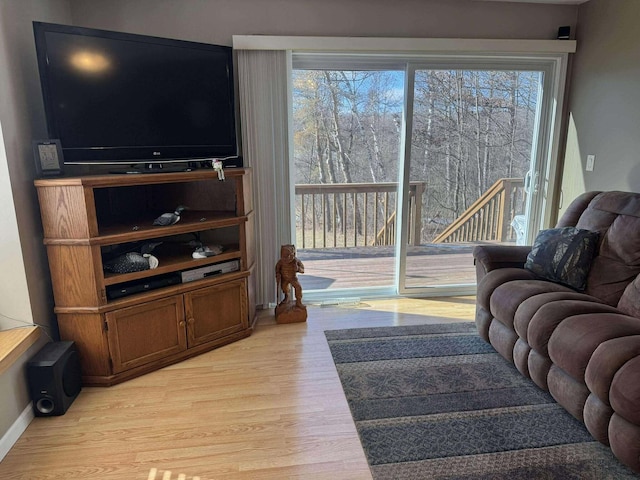 18175 Lake Dr, Big Rapids, MI 49307 - living area featuring light wood finished floors