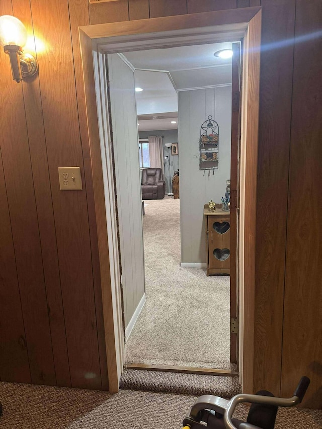 18175 Lake Dr, Big Rapids, MI 49307