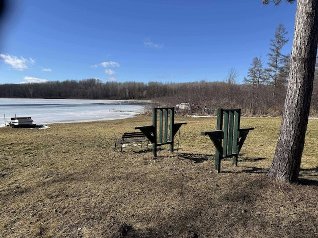 18175 Lake Dr, Big Rapids, MI 49307 - view of yard with a water view