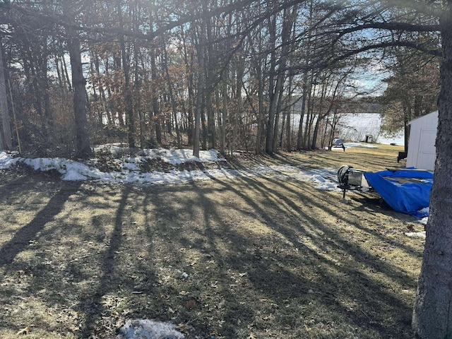 18175 Lake Dr, Big Rapids, MI 49307 - view of yard