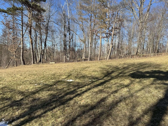 18175 Lake Dr, Big Rapids, MI 49307 - view of yard