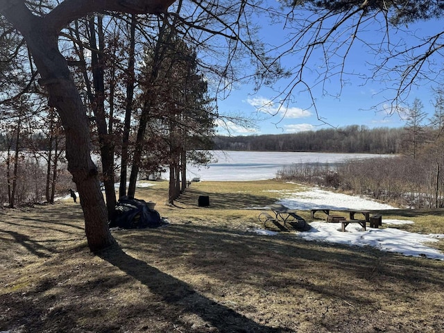18175 Lake Dr, Big Rapids, MI 49307 - surrounding community with a wooded view and a water view