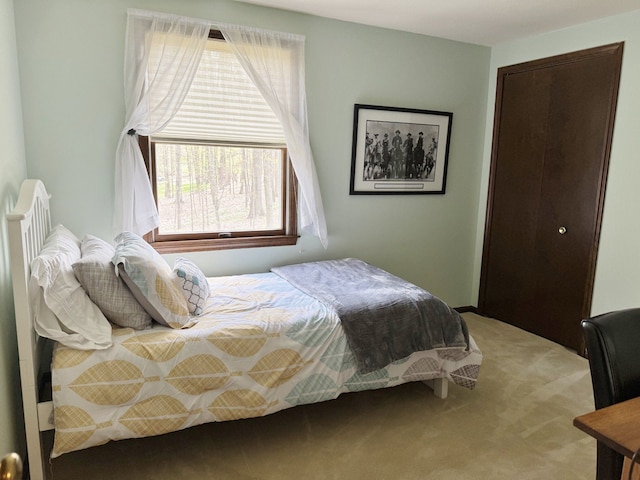 12131 Brandywine Dr, Brighton, MI 48114 - view of carpeted bedroom